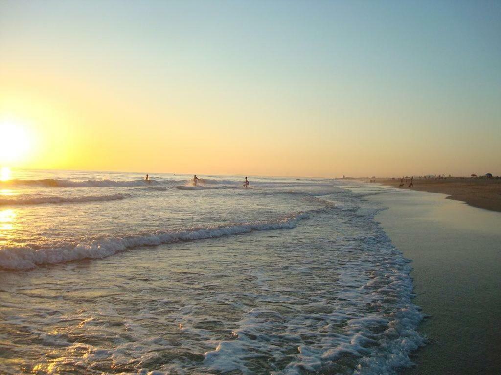 Penzion Chozito De Paja A 300M. Playa Mangueta El Palmar  Exteriér fotografie